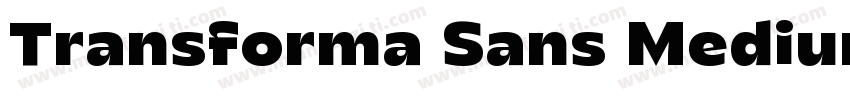 Transforma Sans Medium字体转换